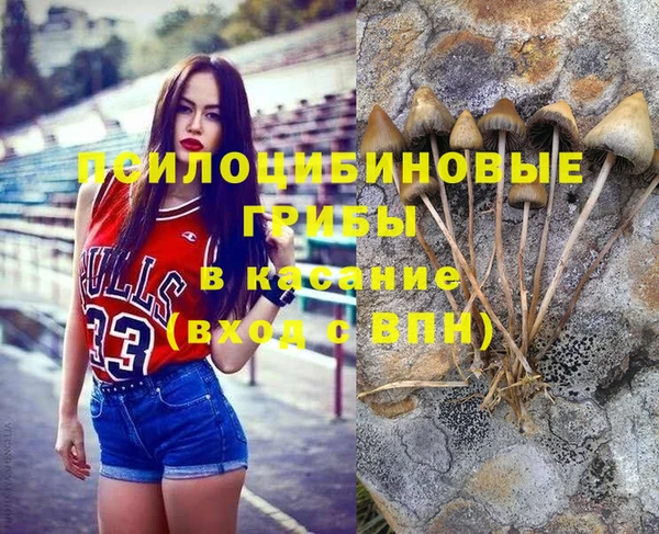 mdma Горняк