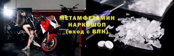 прущие грибы Ельня