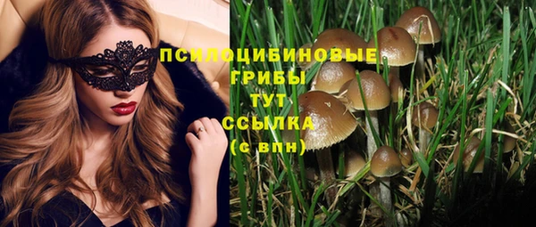 марки lsd Горнозаводск