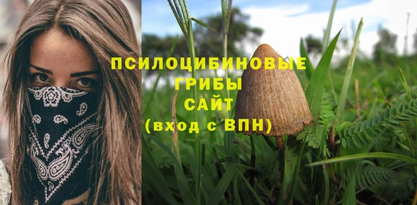 скорость Горно-Алтайск