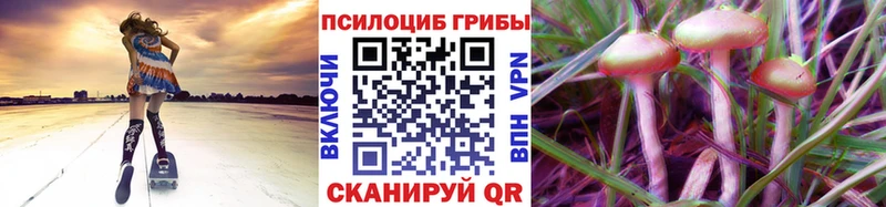 Галлюциногенные грибы MAGIC MUSHROOMS  Купить закладки  Пестово 